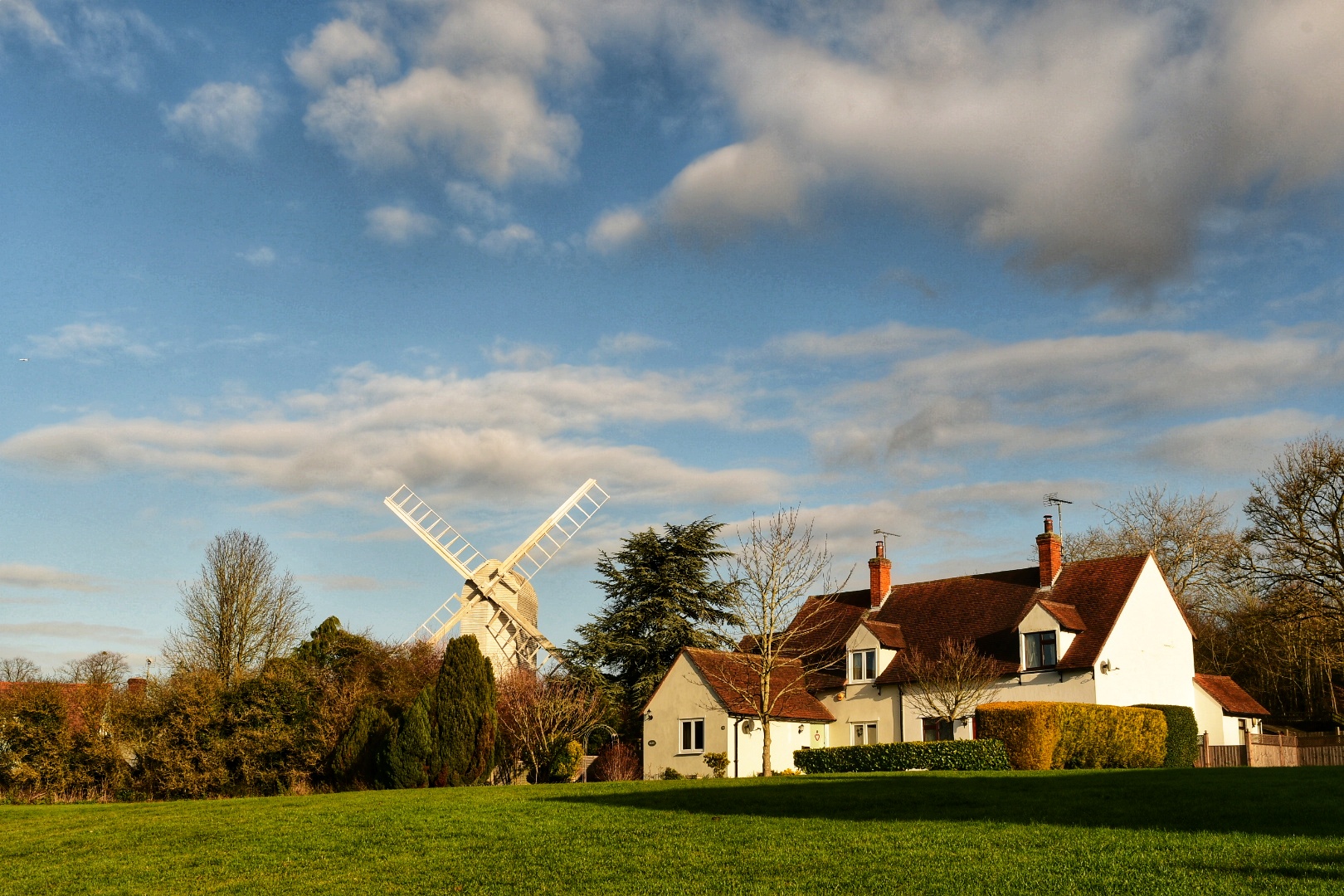 A picture of the braintree district with a windmill and a row of houses