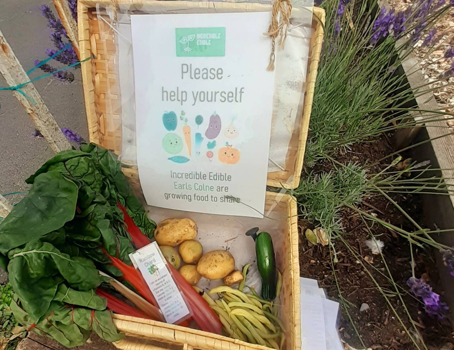 picnic basket filled with fruit and veg