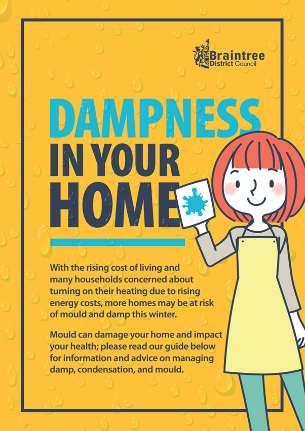 Decorative thumbnail image for a guide to managing damp mould and condensation