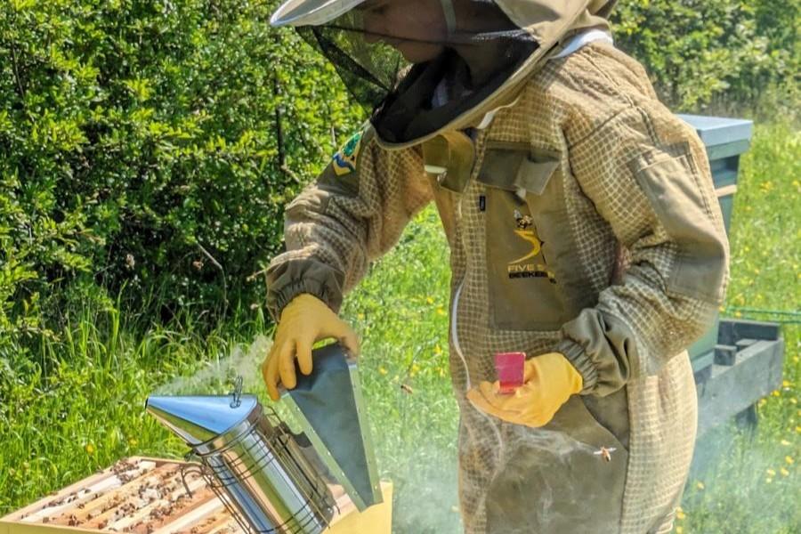 Buzzing about local honey