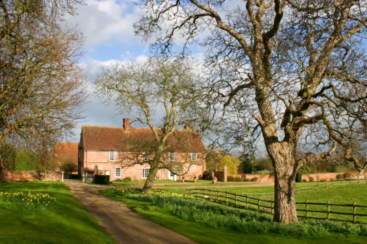 Bardfield Vineyard