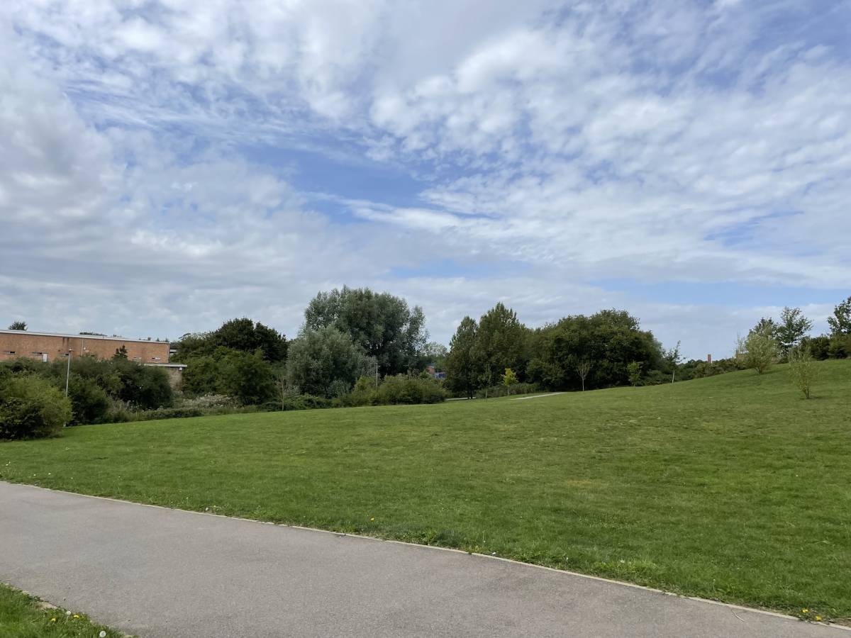 picture of proposed area for new inclusive play are in brain valley park