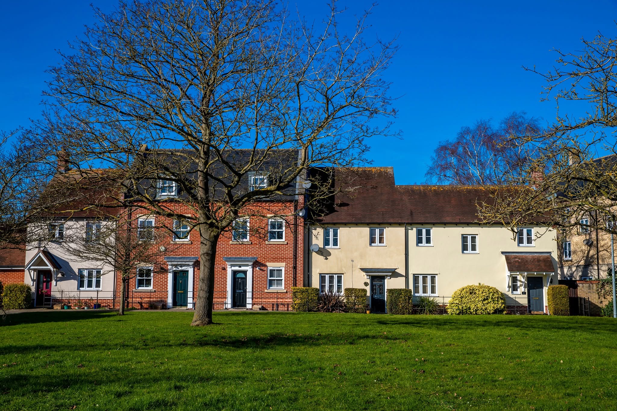The image shows a row of houses at the back and a tree and some green space at the front.