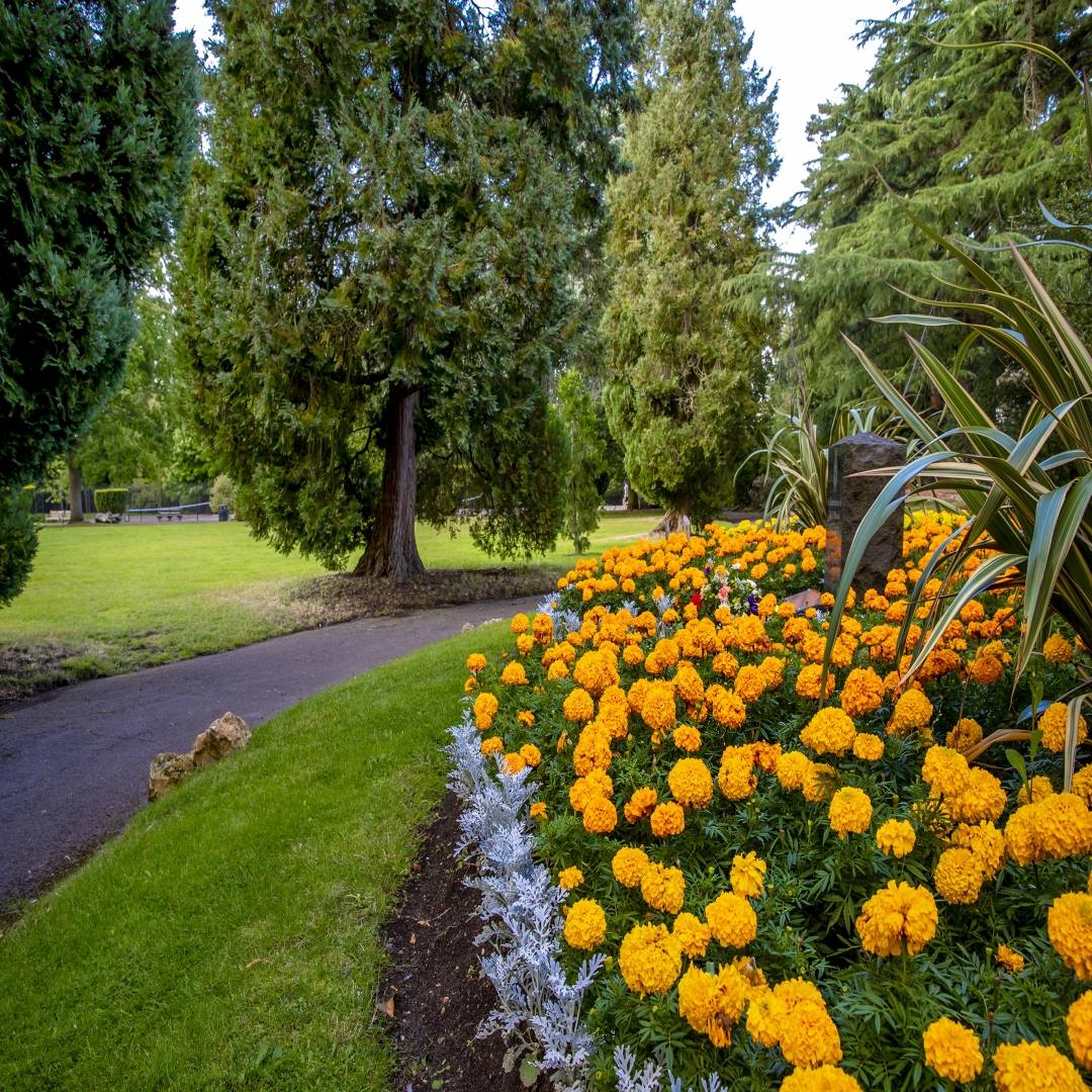 Braintree and bocking public gardens flowers and trees - Image