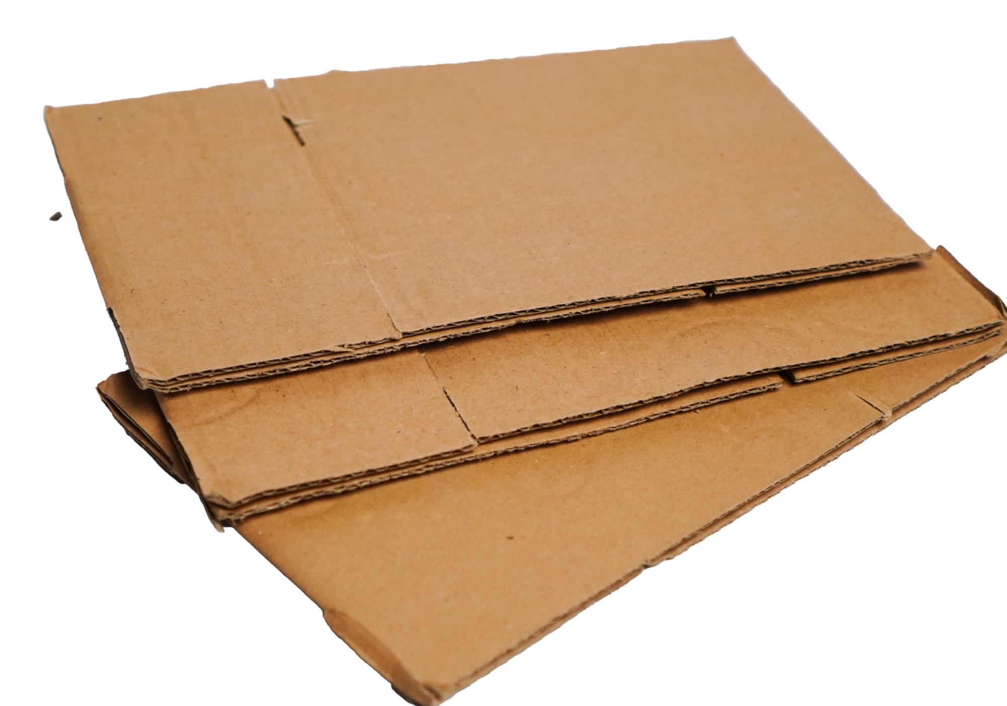 Cardboard