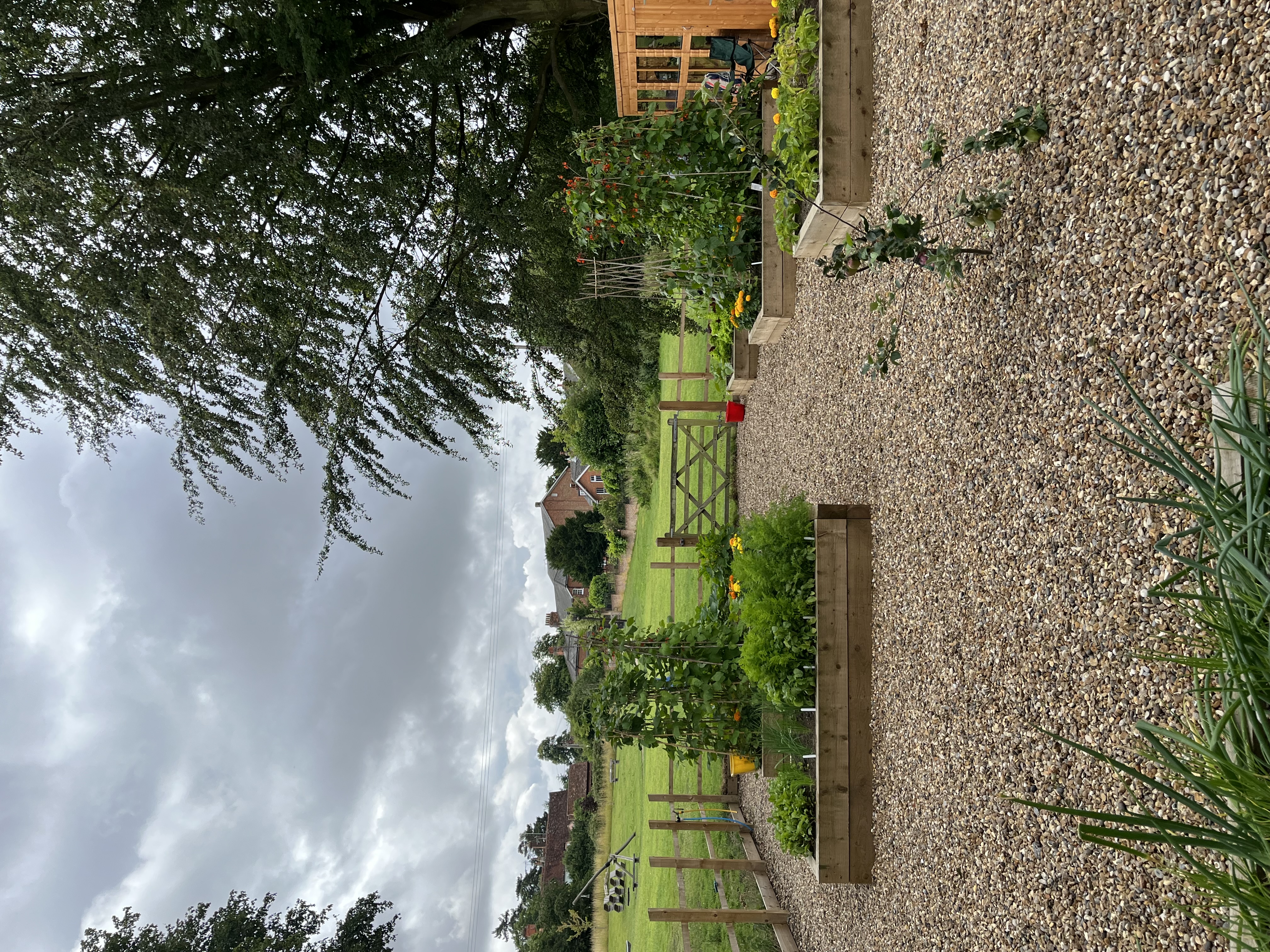 The image shows a raised bed in a small gardens with some green space and trees in the background.
