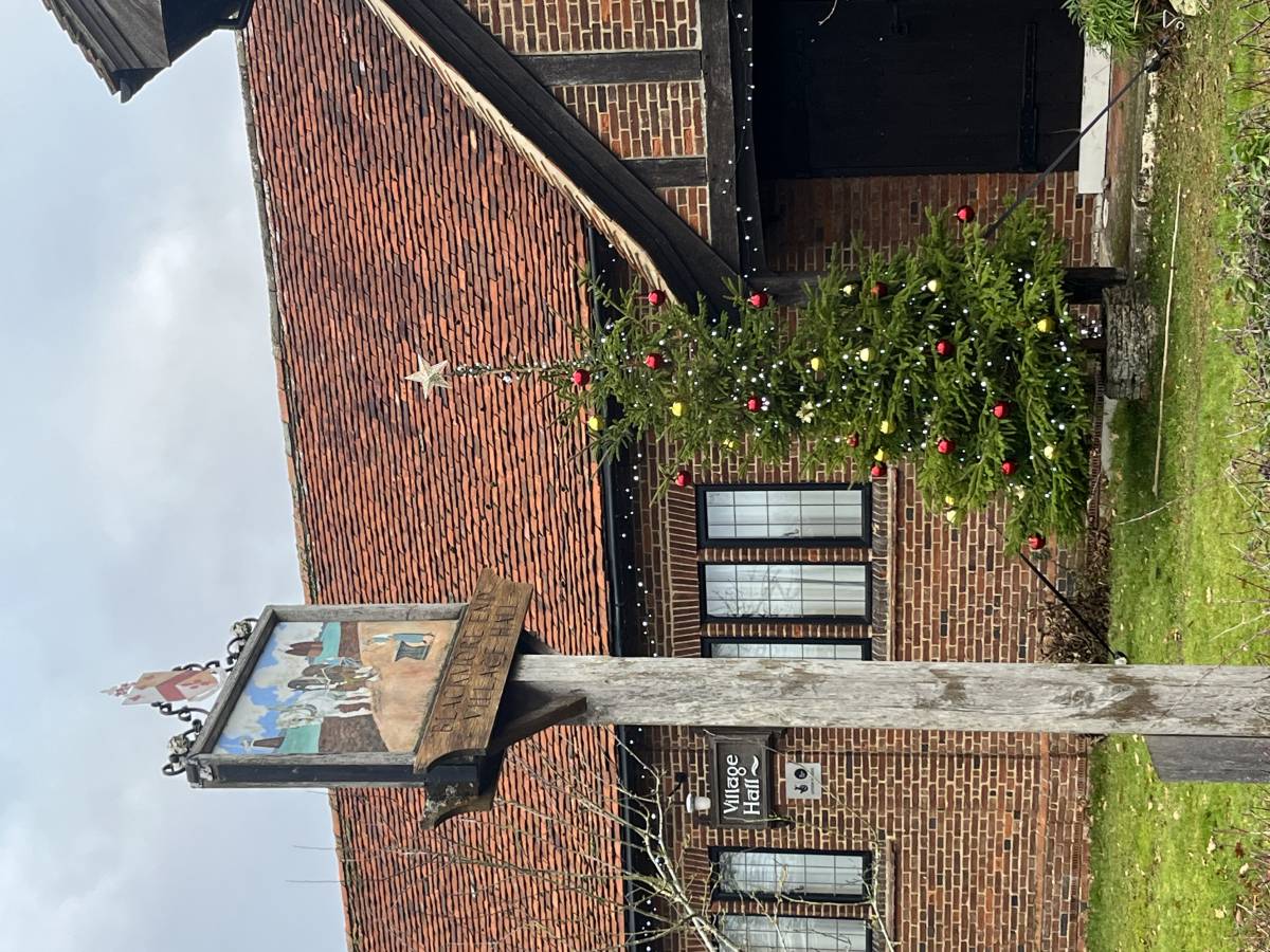 The image shows a Christmas tree outside of a village hall