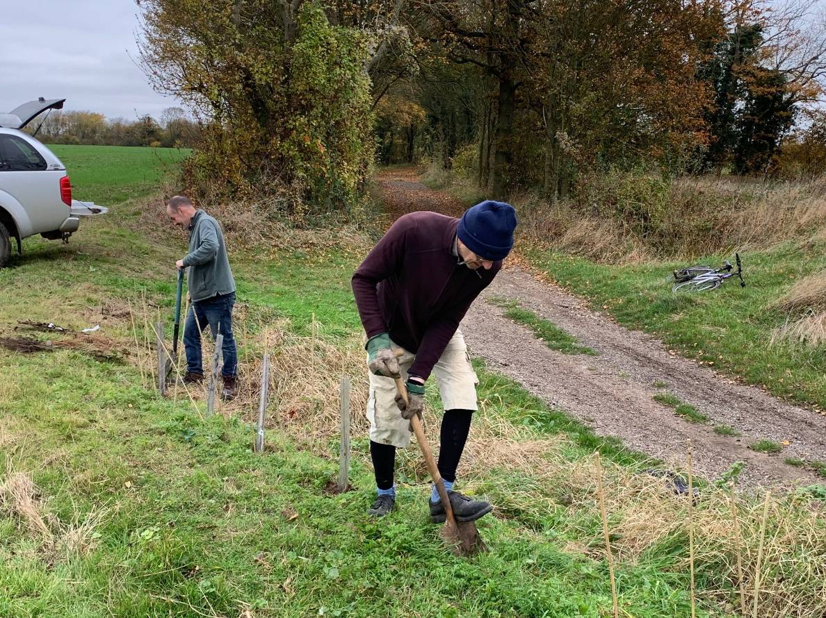 A man planting a tree