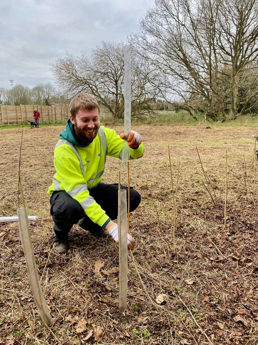 a man planting a tree