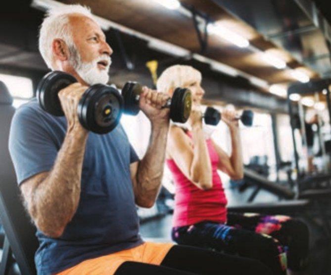 People with dumbbells performing bicep curls in the leisure centre