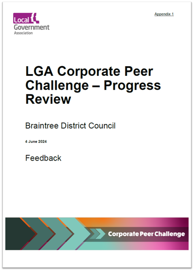 Decorative thumbnail image for Corporate peer challenge progress report download