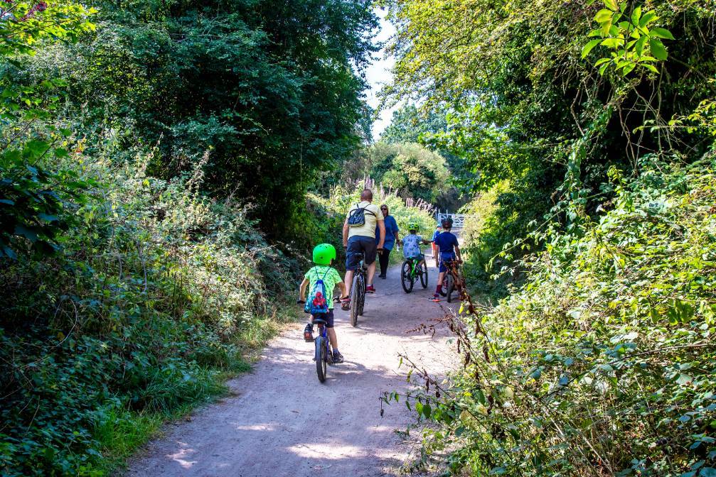 people cycling on a path with trees