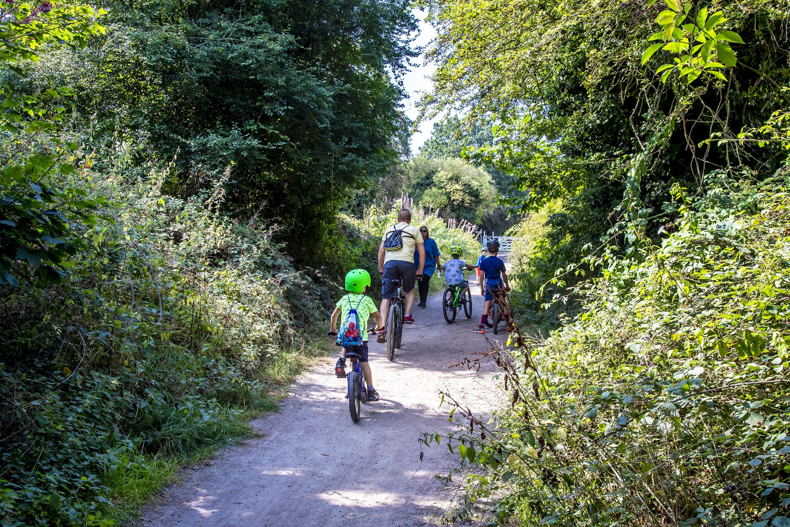 Photo of adults and children cycling on a path