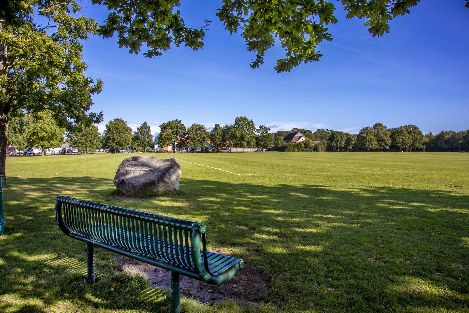 The image shows a large green space with a bench in the foreground. Pictured in the background are some trees and shrubs.
