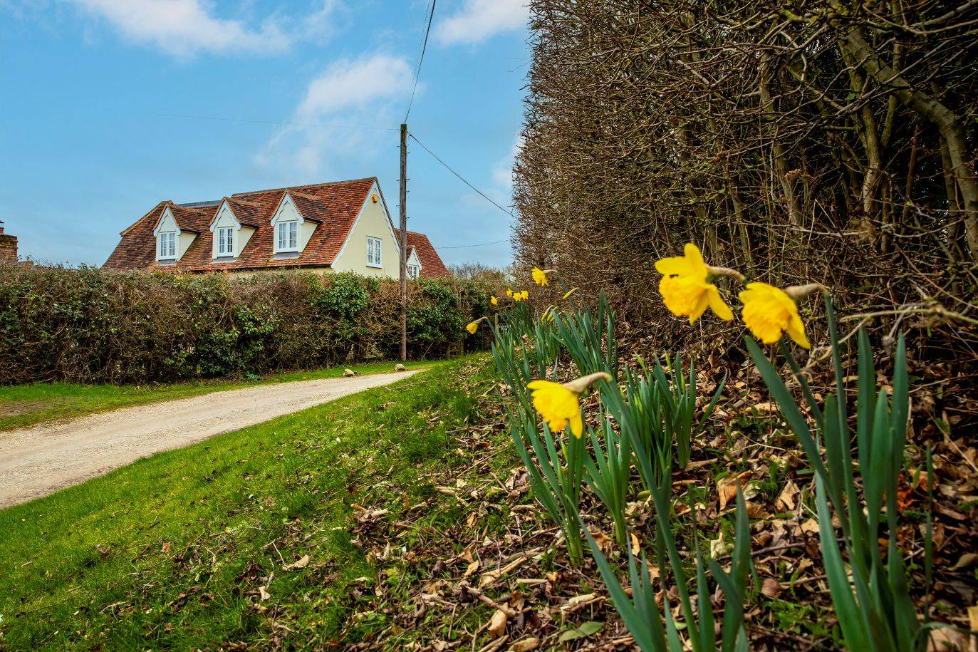 Image of road in great and little Henny with flowers on the verge