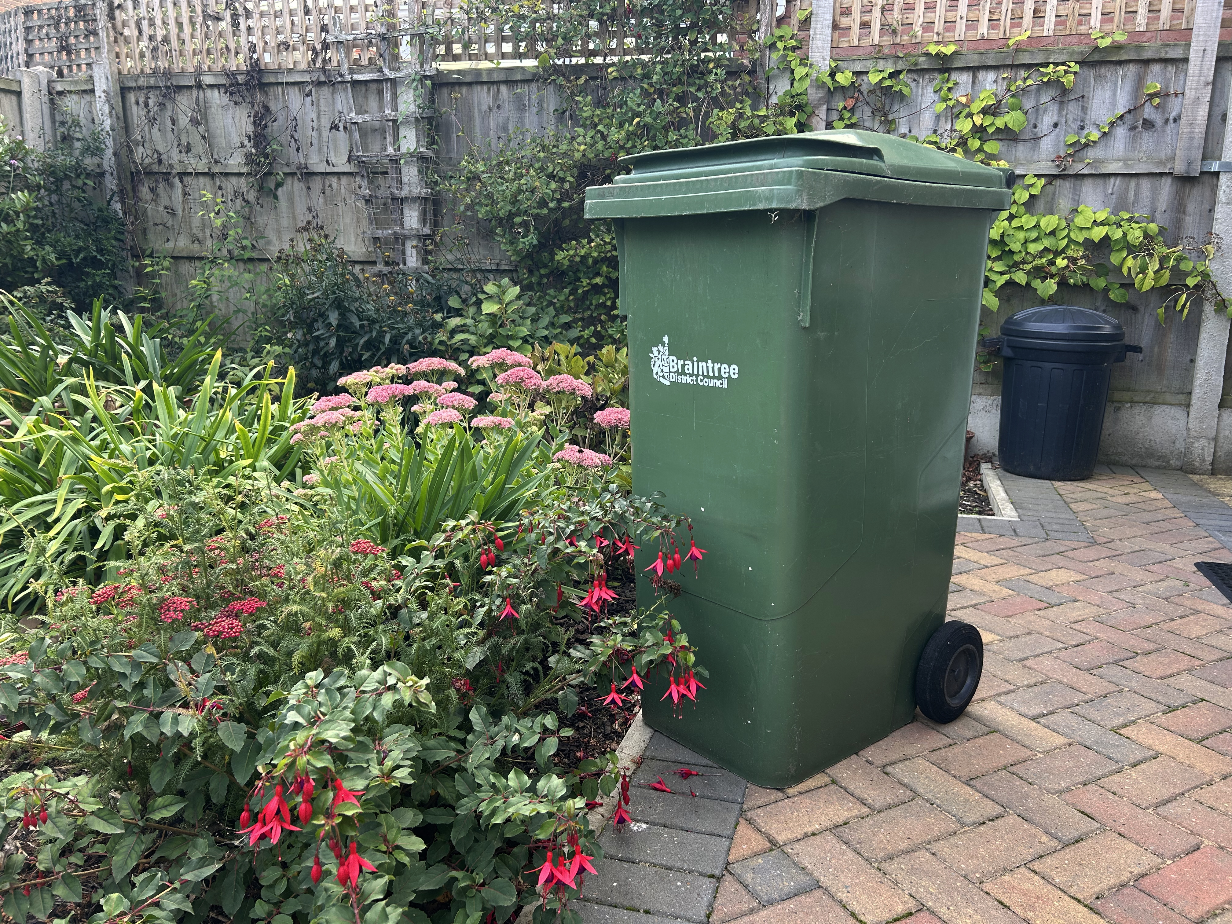 A green garden bin standing in a spring garden