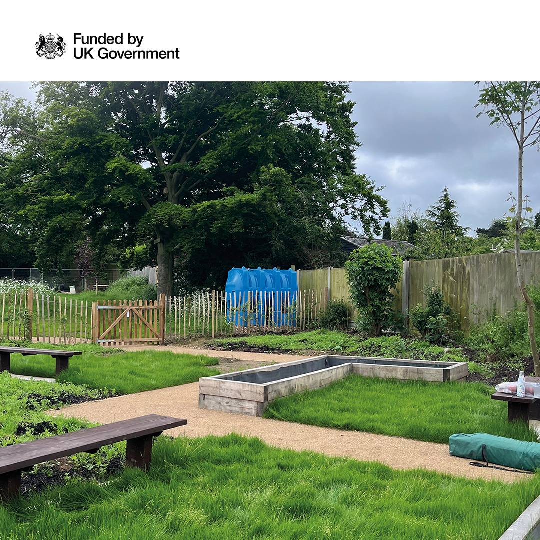 The image shows a picture of some beds and paths.