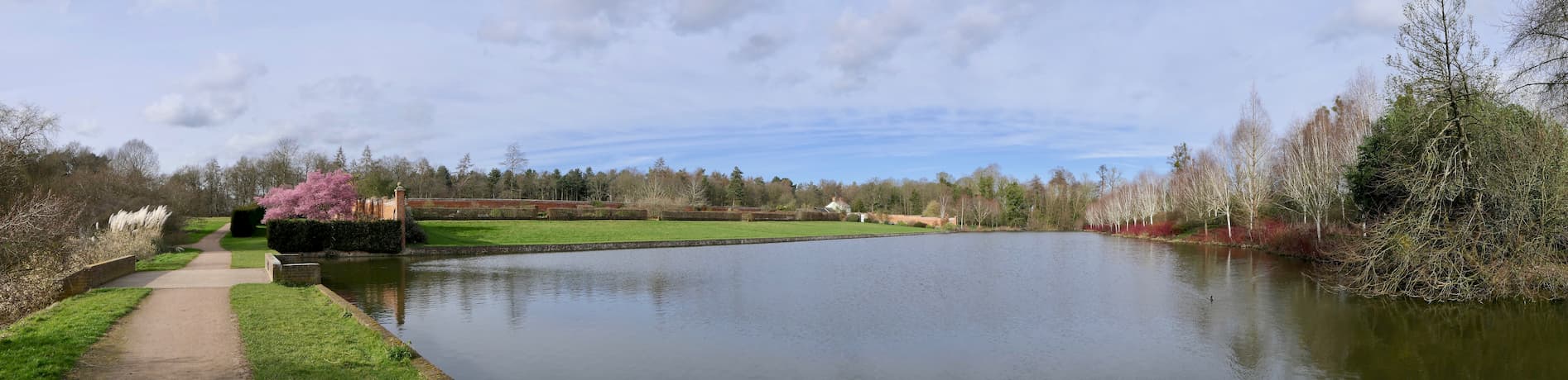 A picture of a lake with trees in the background