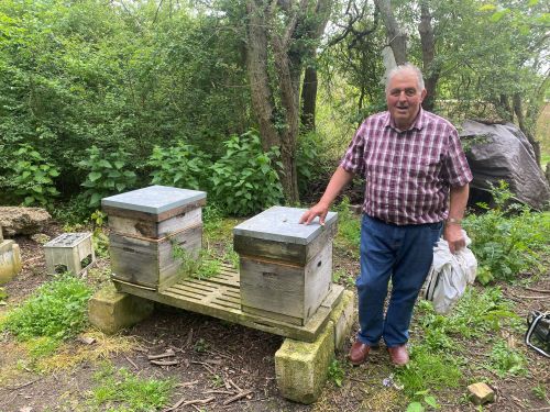 An image showing Maurice bacon with his bees.