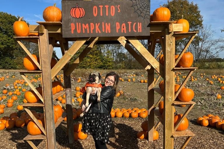 Otto's pumpkin patch