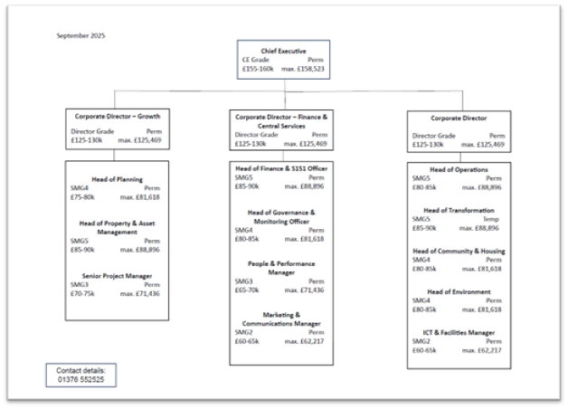 organisation structure chart document preview image