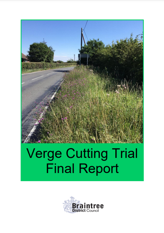 Decorative thumbnail image for Verge cutting trial report 2021