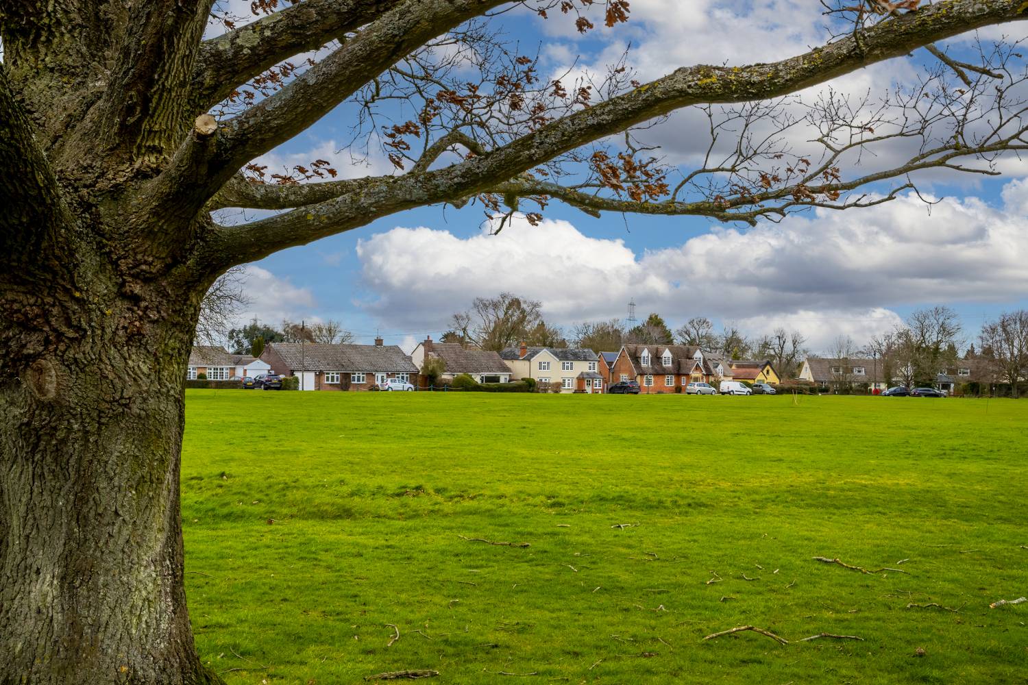 Houses and a field
