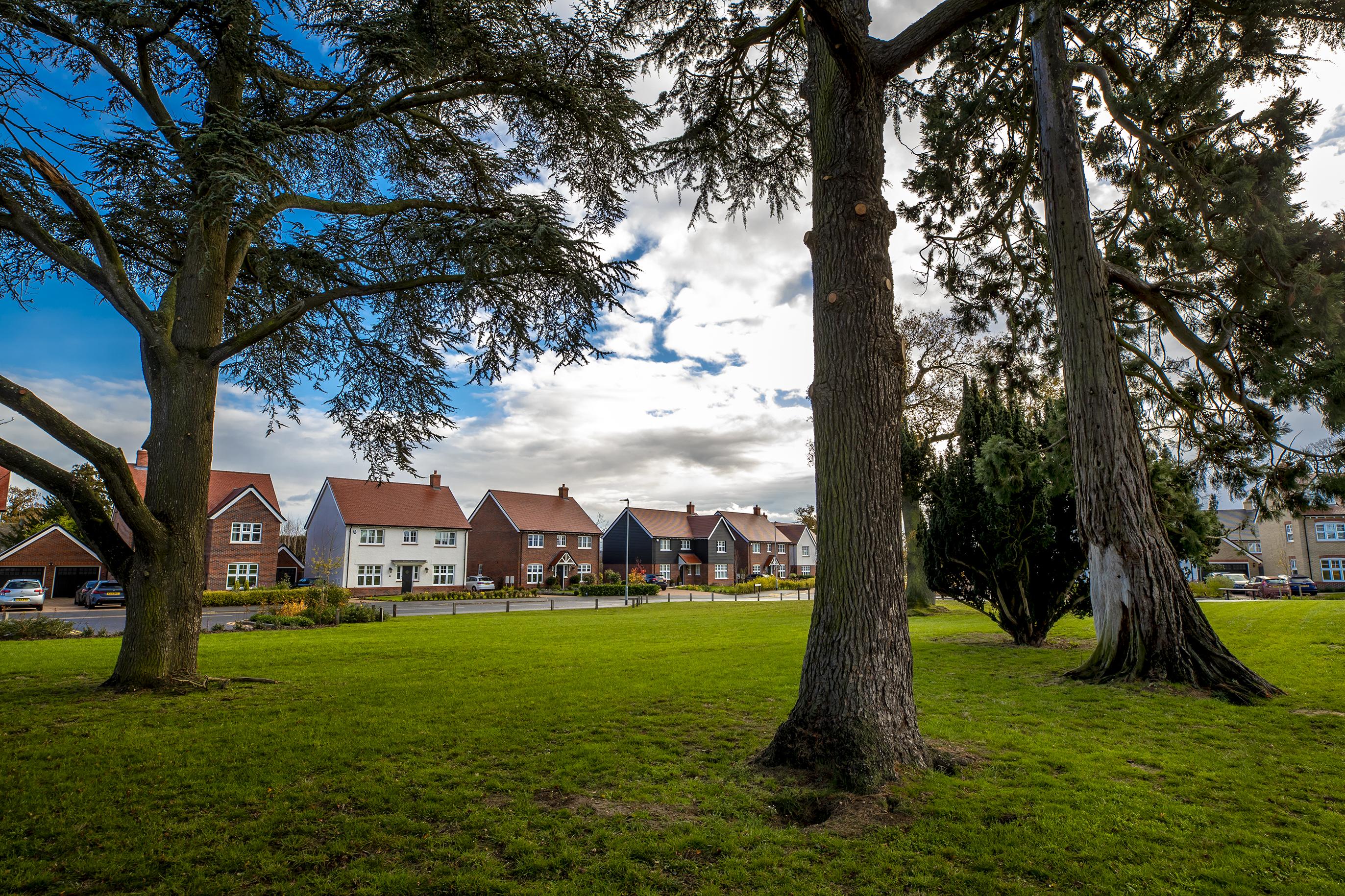 Image - Witham new homes with trees and field