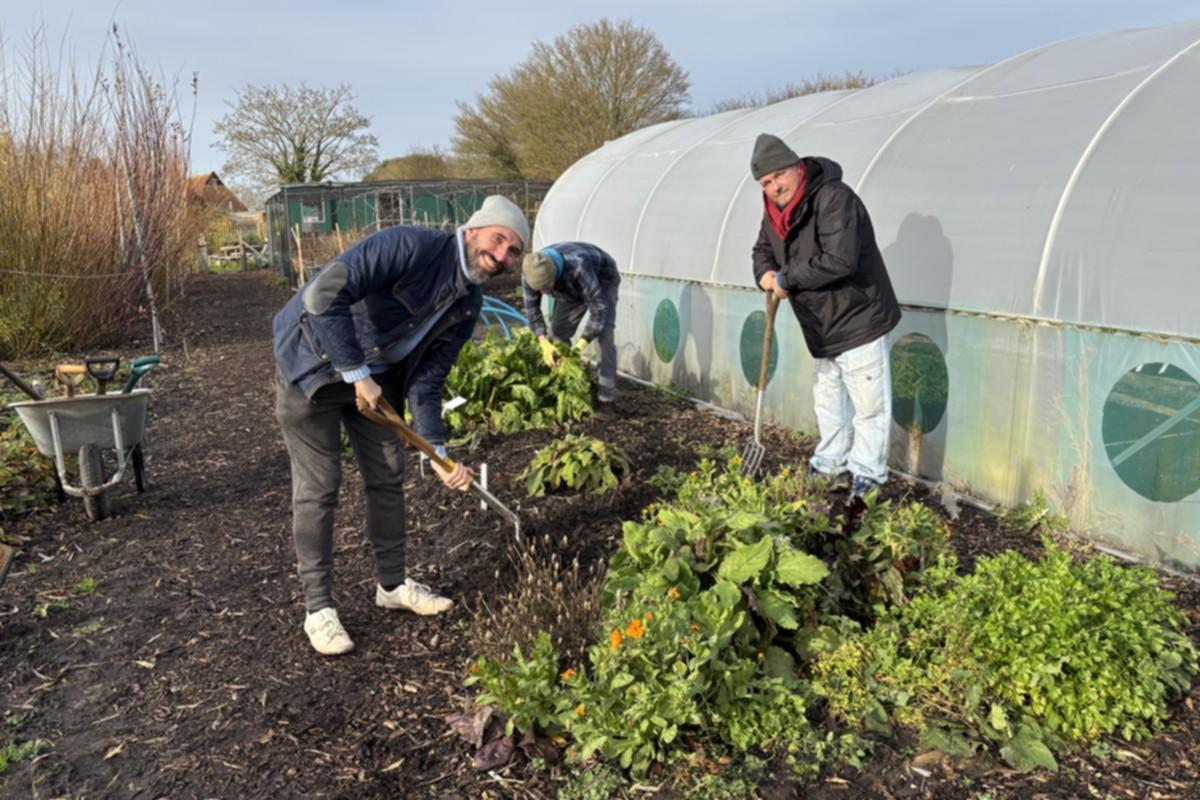 Community garden - people tending to vegetables in community garden