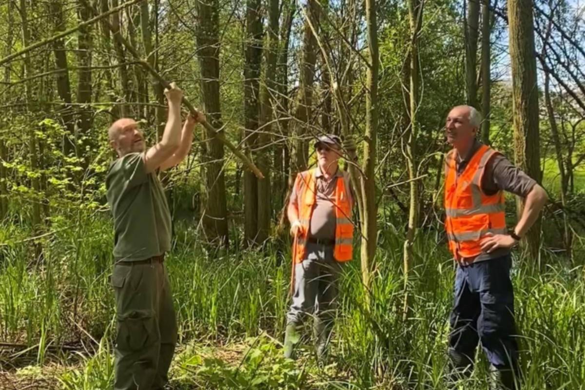 Friends of Hoppit Mead Nature Reserve