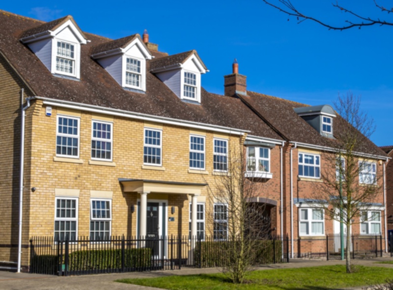 Two large houses with two trees outside on the front gardens