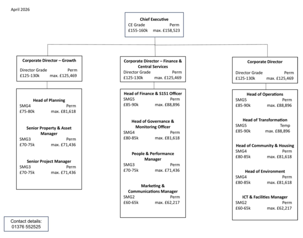 organisation structure chart document preview image