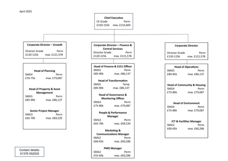 Decorative thumbnail image for Organisational structure chart