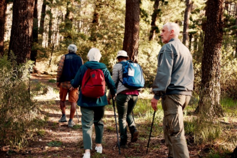 Braintree u3a walking group
