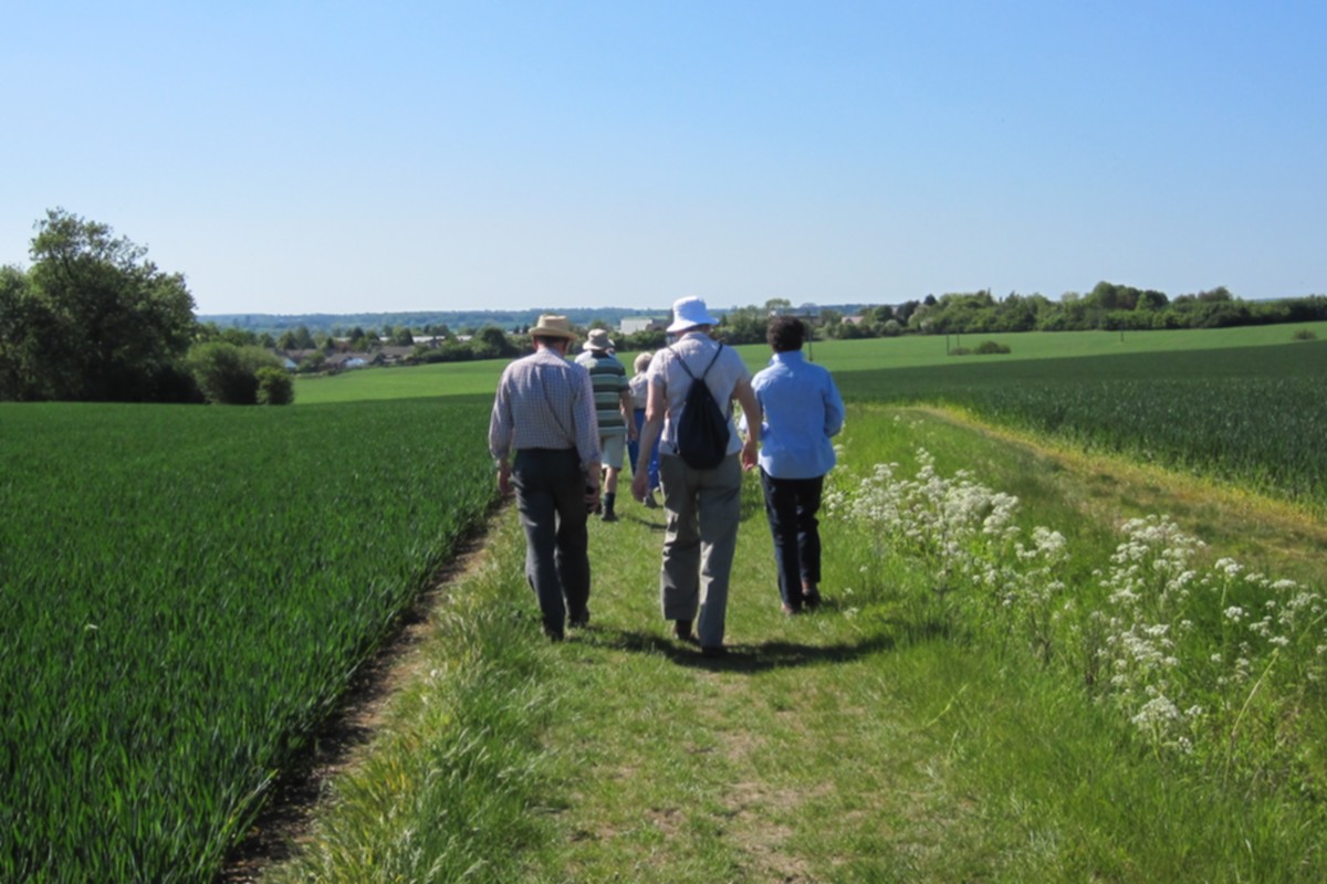 Friends of Walking for Wellbeing