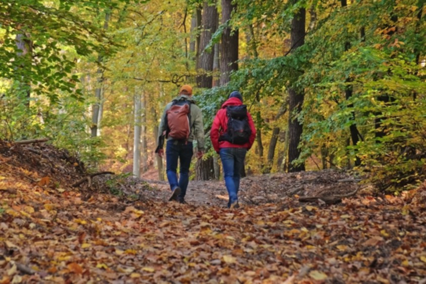 Walk and Talk 4 Men