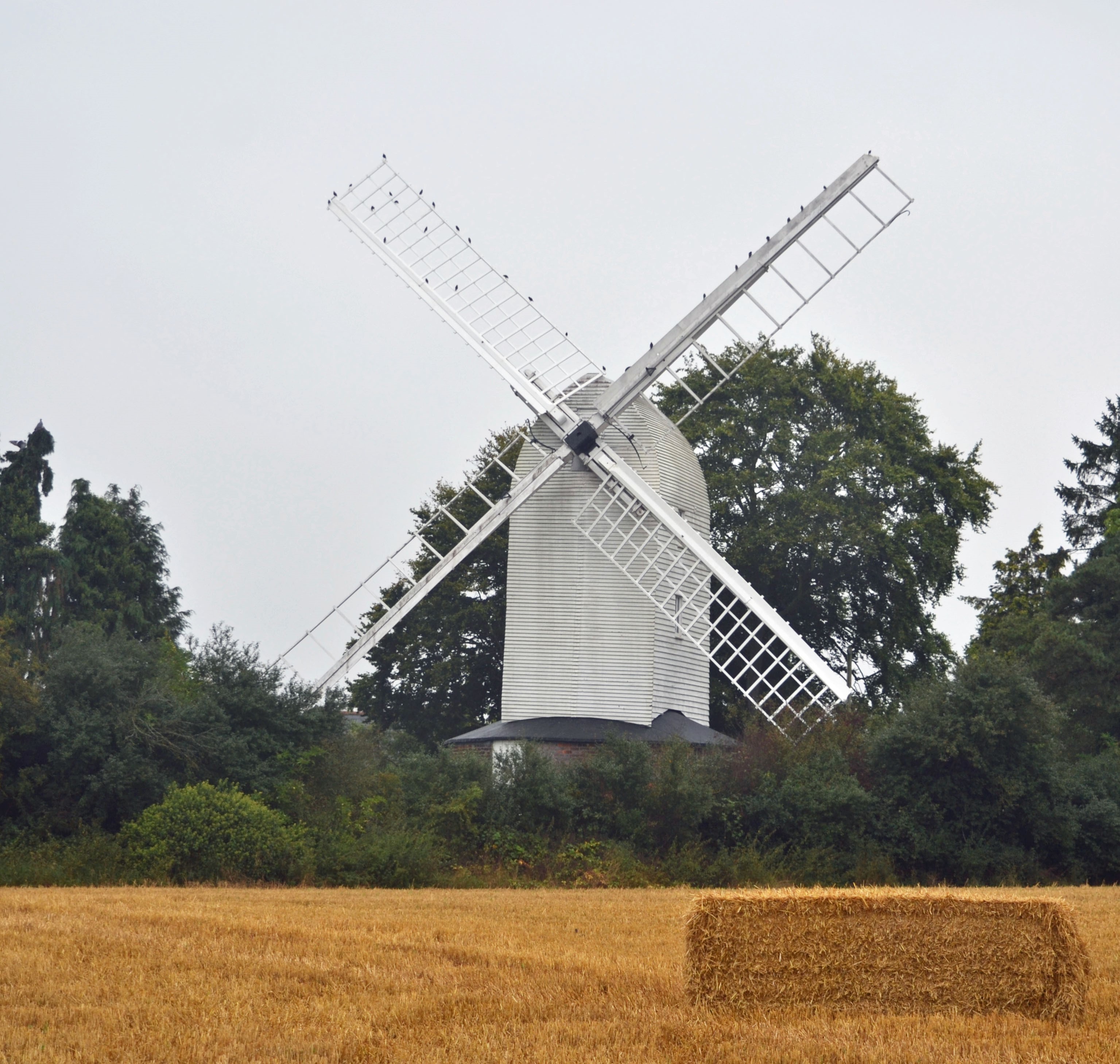Picture of windmill with new sails