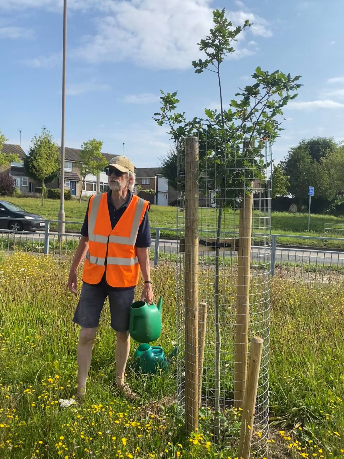 An image showing the work undertaken by the Witham Tree Group