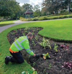 Image of planting bed in braintree
